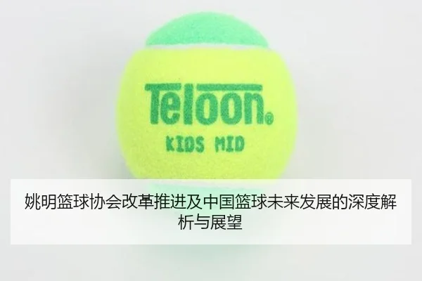 姚明篮球协会改革推进及中国篮球未来发展的深度解析与展望